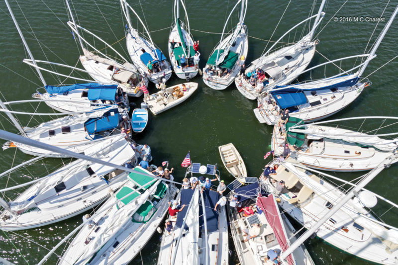 sunflower raft