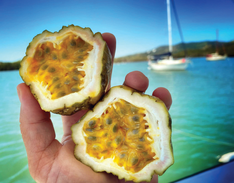 Passion fruit