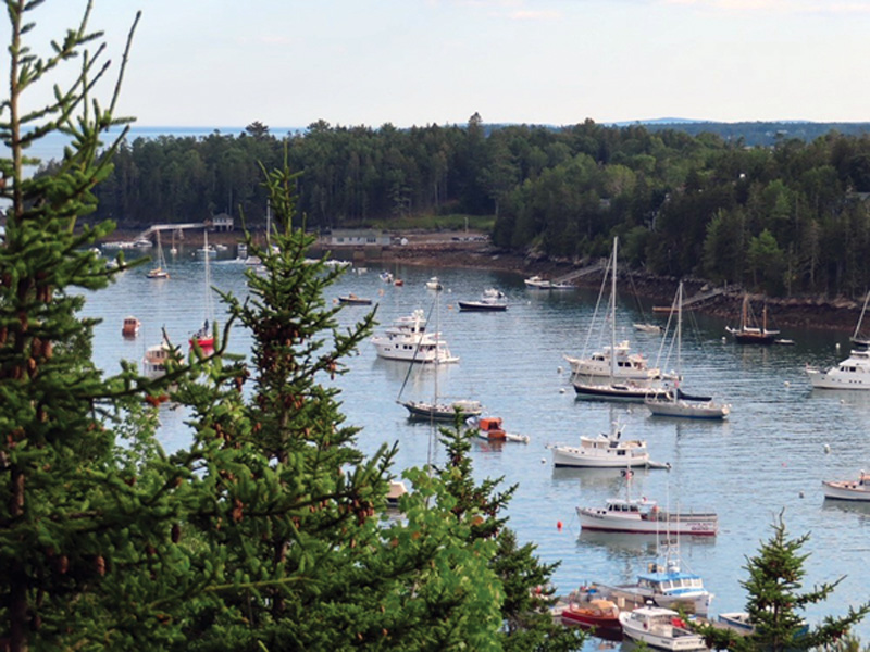 boats at anchor